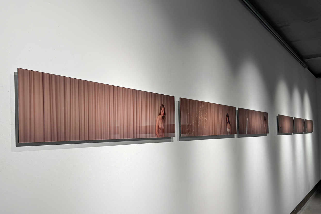 VULNERABILITY | Doza Gallery