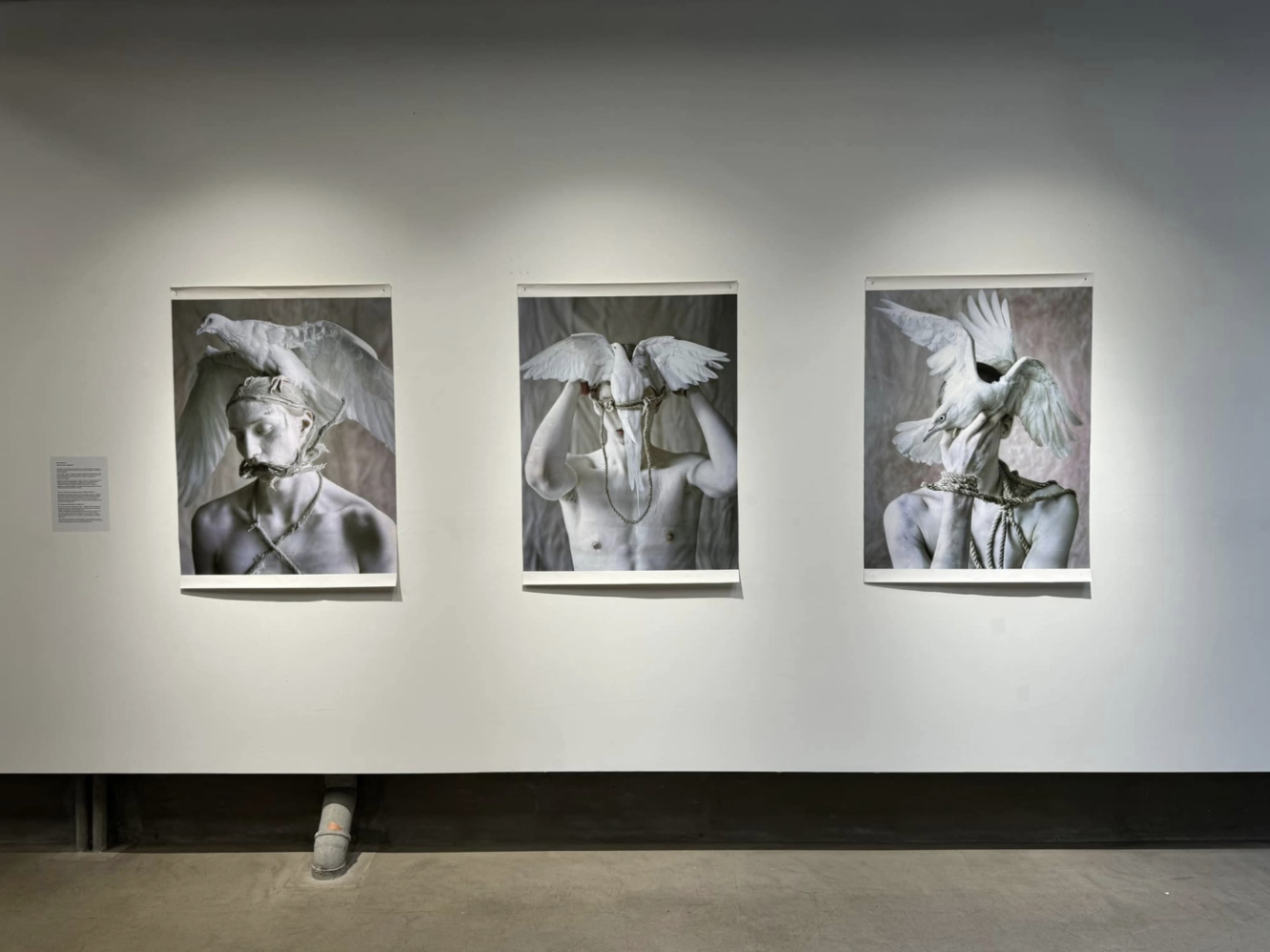 BETWEEN INMATES | Doza Gallery