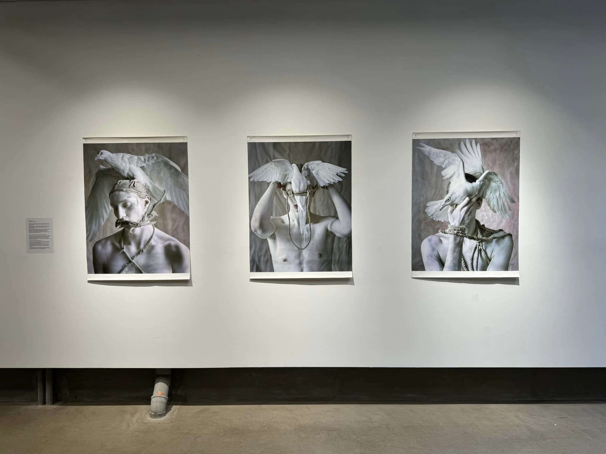 BETWEEN INMATES | Doza Gallery