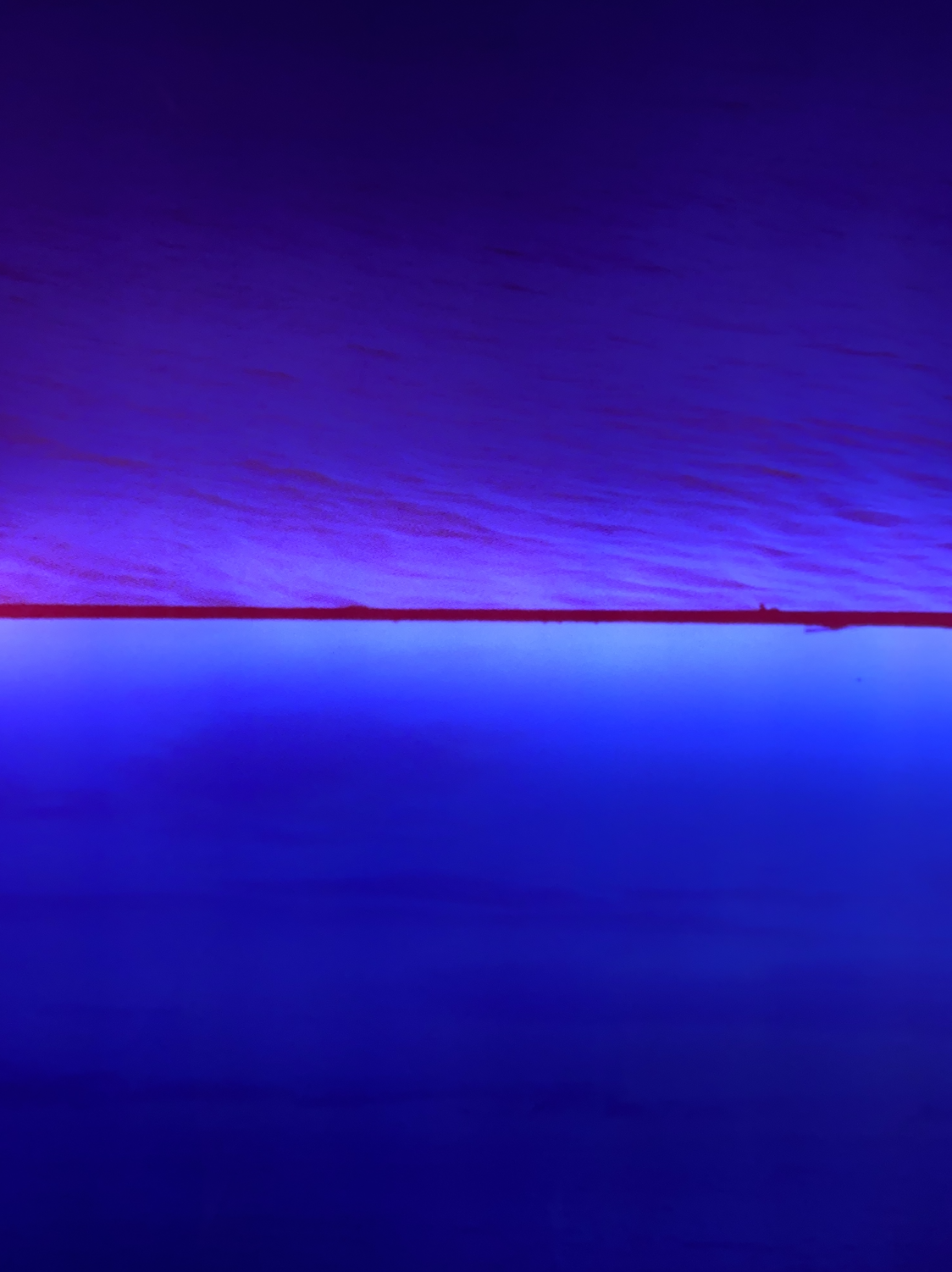 Trine Lise Nedreaas | Doza Gallery