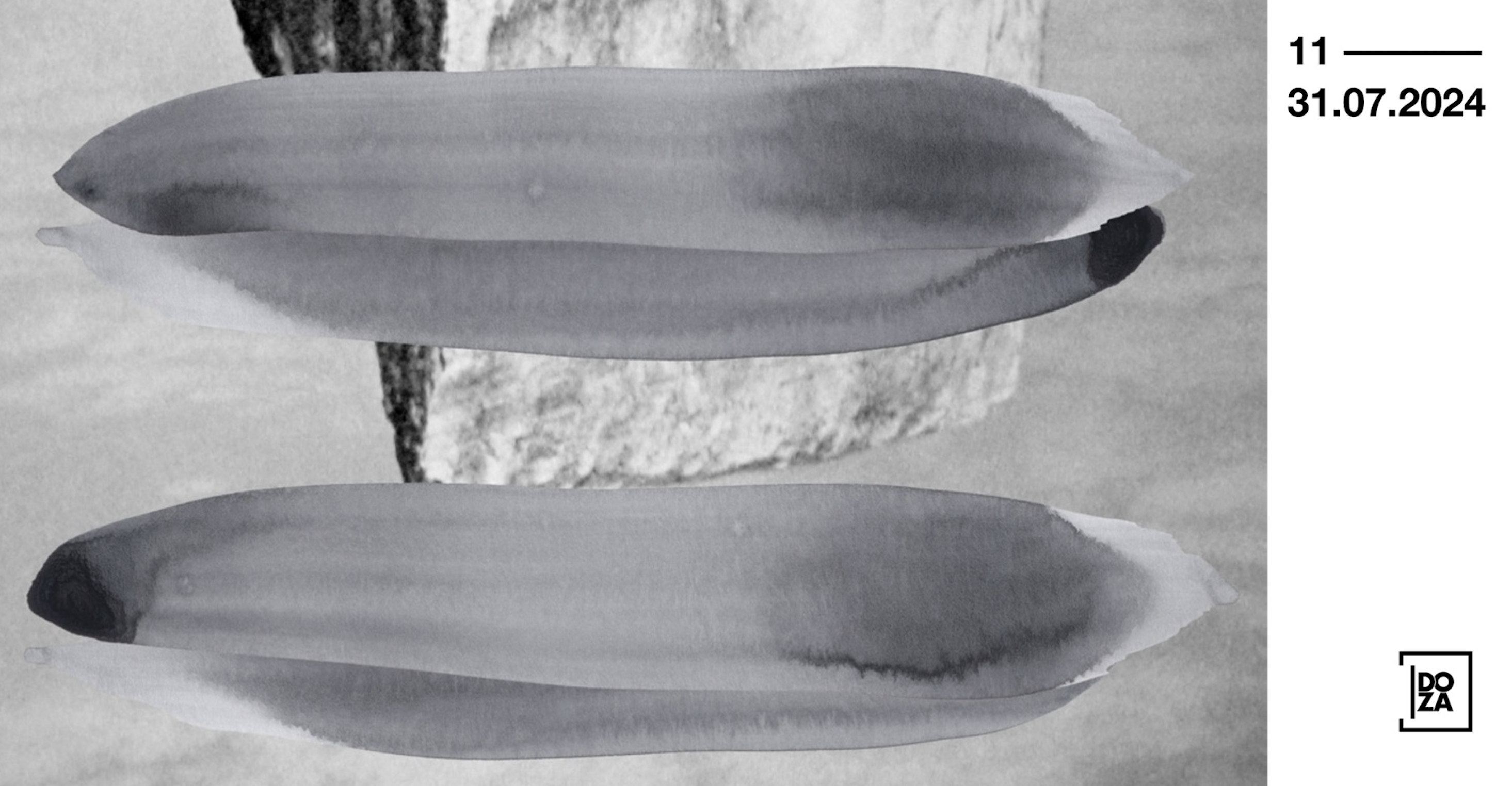 Exhibitions | Doza Gallery