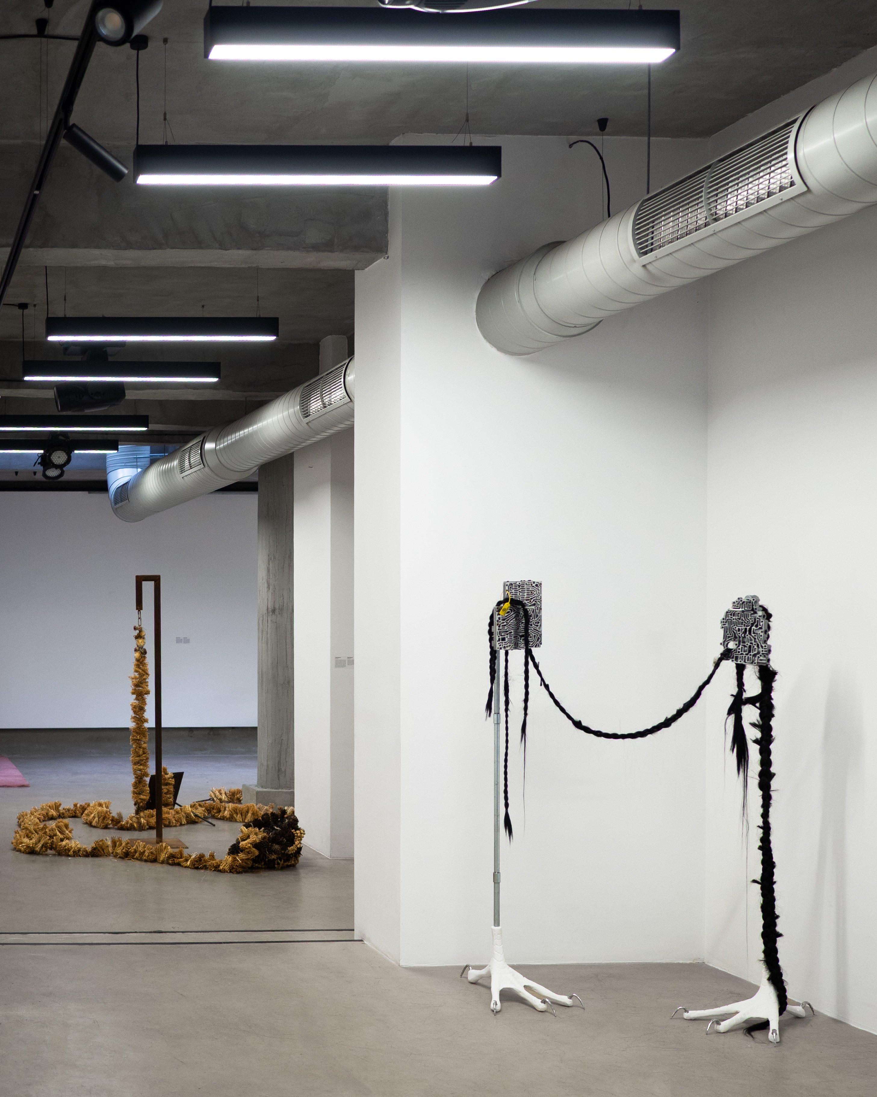 BORDERS | Doza Gallery