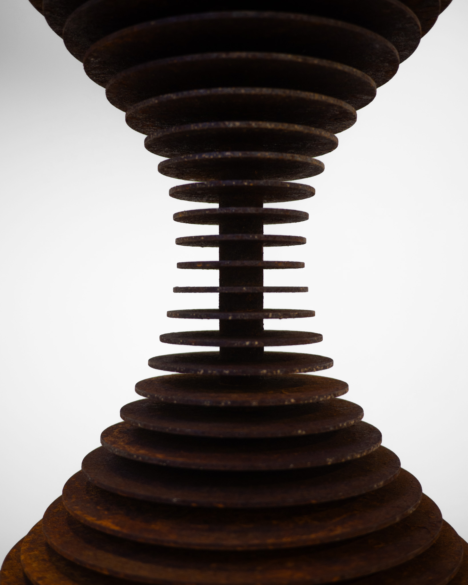 The Lost Forest | Doza Gallery